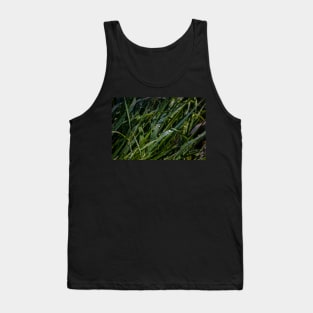 Water Drops on Blades of Grass Tank Top